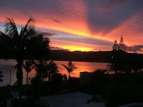 Paku Lodge Resort Tairua Dış mekan fotoğraf
