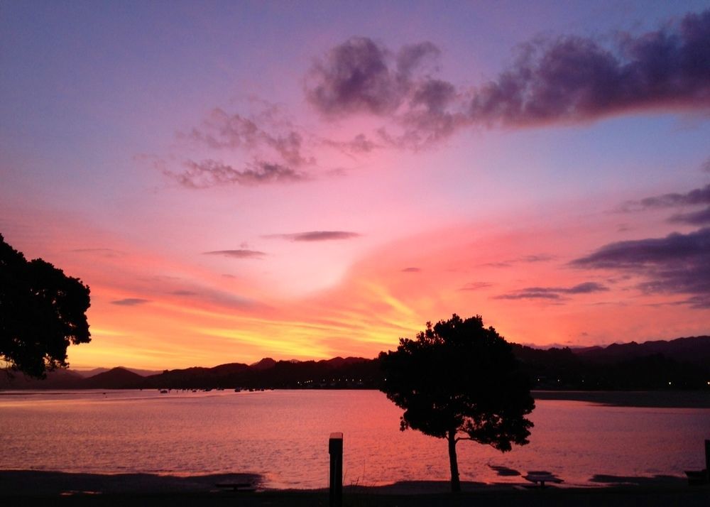 Paku Lodge Resort Tairua Dış mekan fotoğraf